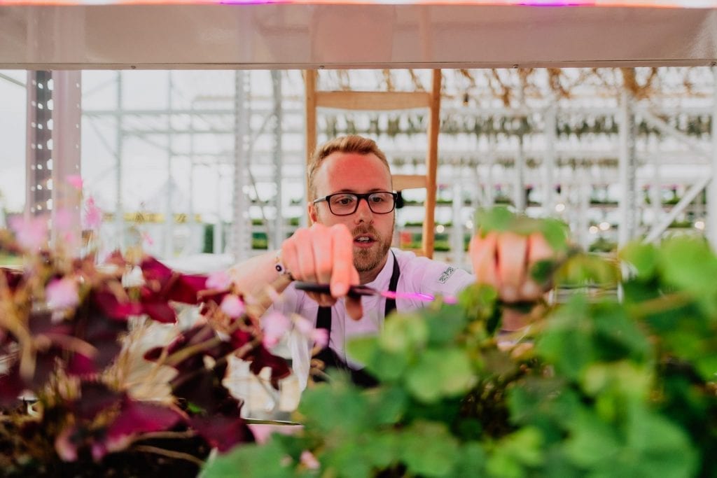 Man growing plants in Brasserie 2050