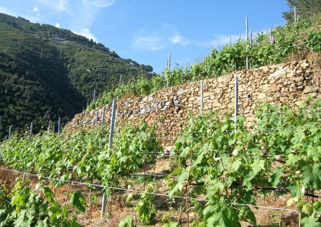 Cinque Terre