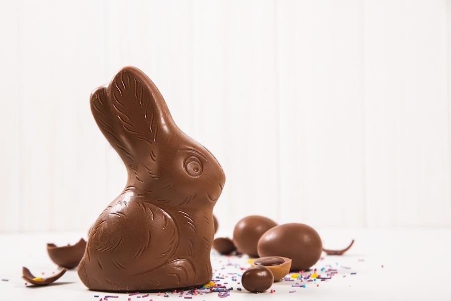 Coniglietto di cioccolato di Pasqua