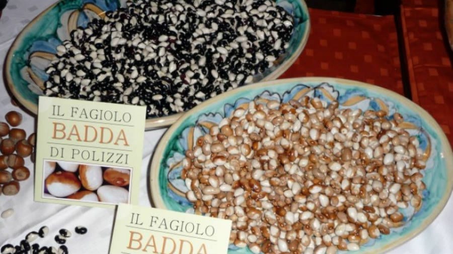 Fagiolo Badda di Polizzi Generosa