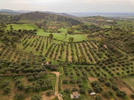 Su Molinu's landscape