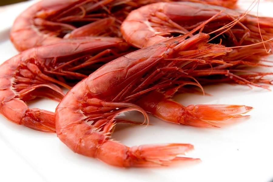 Gambero Rosso di Mazara del Vallo