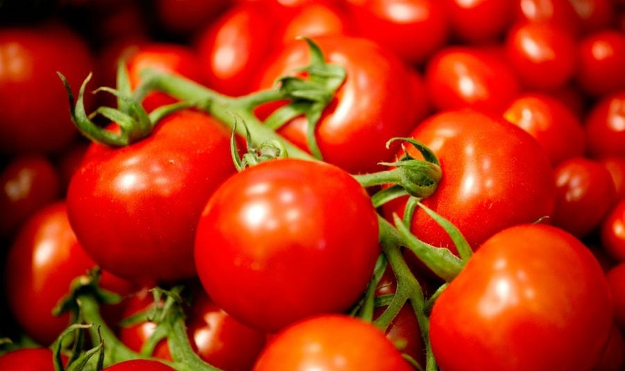 Pomodoro di Pachino