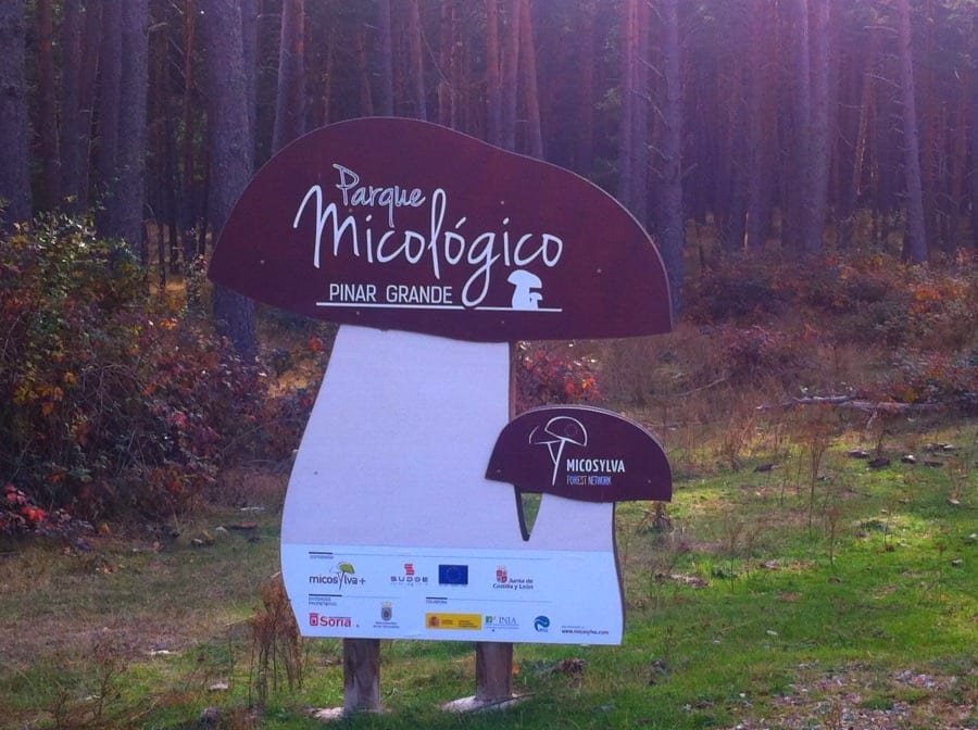 Parco Micologico