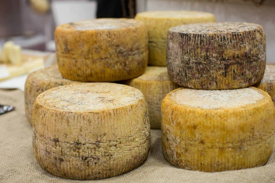 Pecorino di Filiano DOP