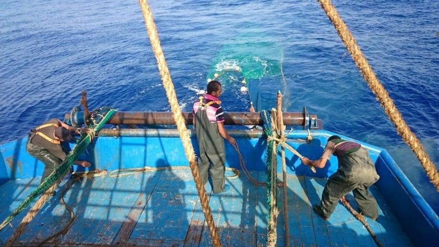 Pesca Pronta