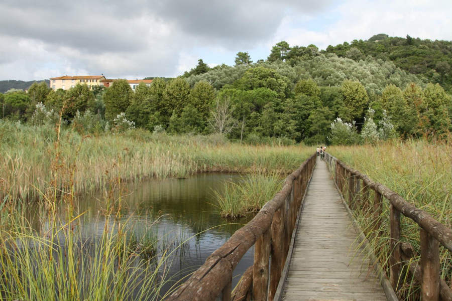 Pontile, Lago di Massaciuccoli, Lucca