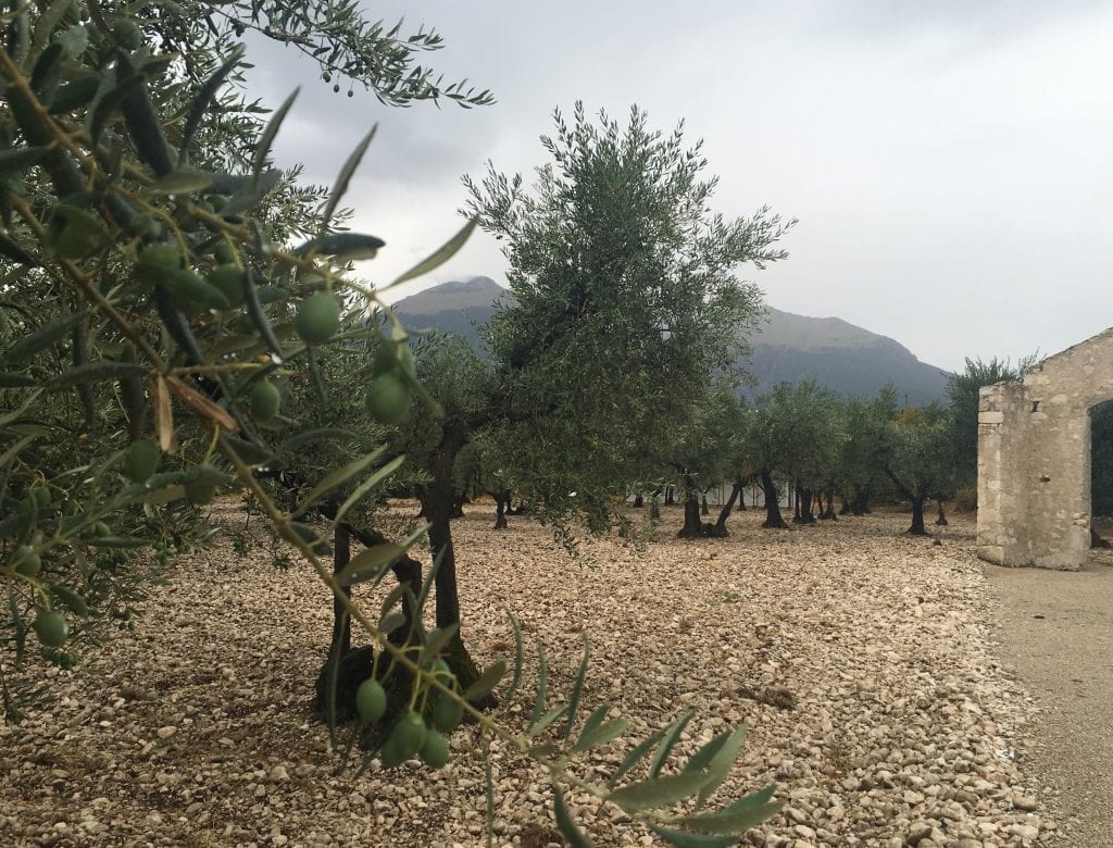 Tommaso Masciantonio Trappeto di Caprafico