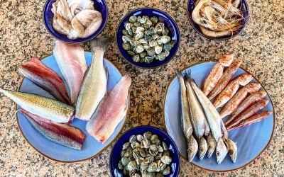 Dol Fish in Rome: delivery service operated by Dol brings home fish from the Lazio coast