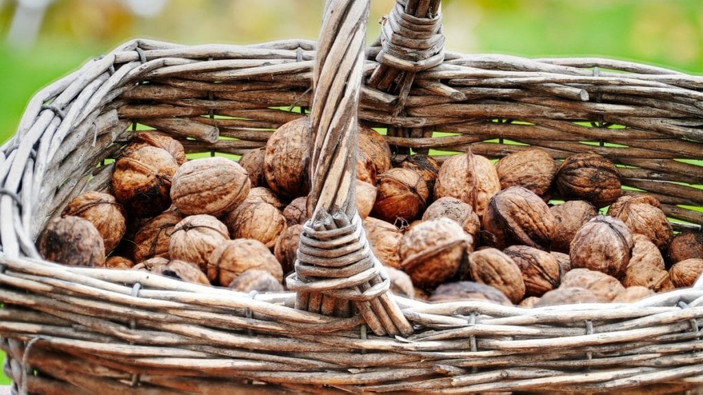 Find out more about walnuts