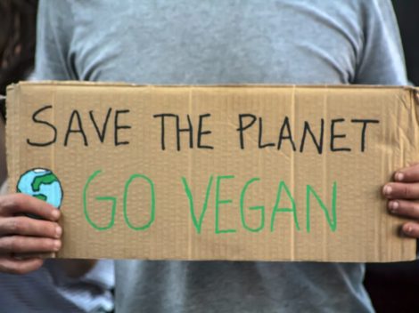 Find out more about We Are the Weather: Saving the Planet Begins at Breakfast