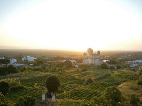 Find out more about the gardens of the grata in ostuni