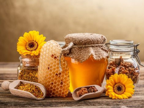The products of the hive. Properties and uses of pollen, royal jelly and propolis