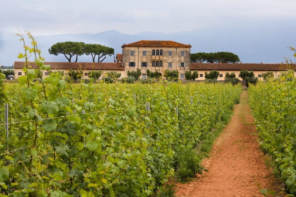 Find out more about Casale del Giglio