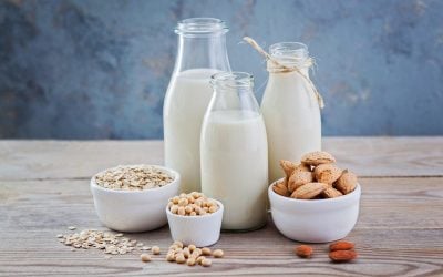 Find out more about plant based milks