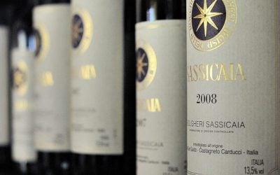 Find out more about sassicaia