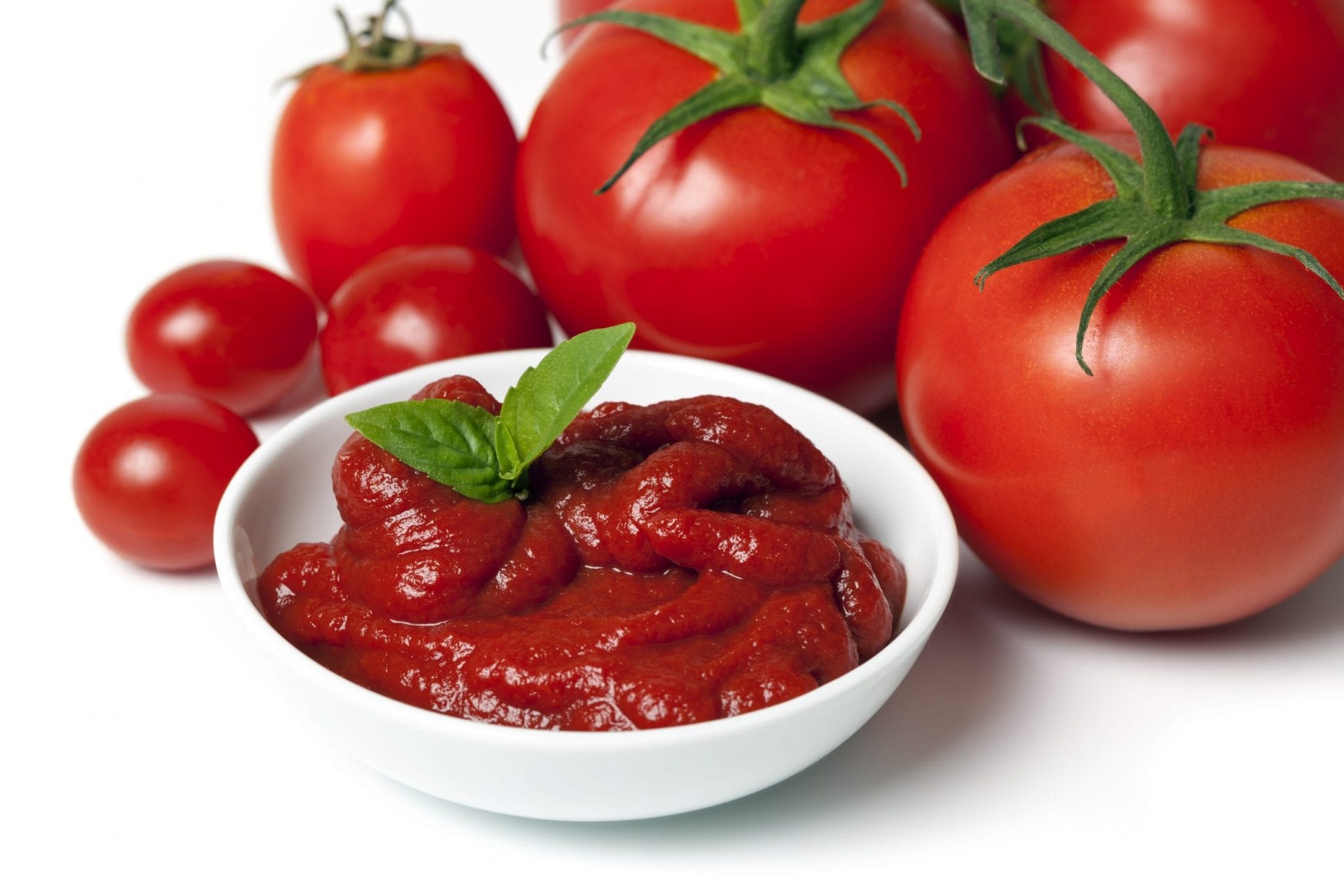 History of tomato sauce and puree Gambero Rosso International