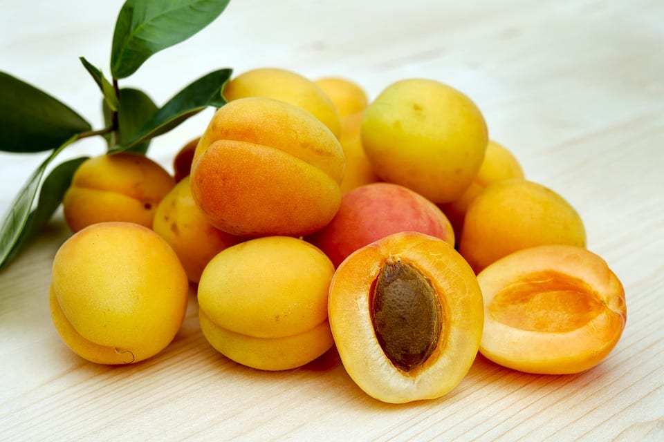 Find out more about apricots