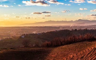 Tre Bicchieri 2022. The best wines of Friuli Venezia Giulia