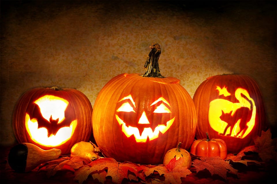 Find out more about traditional Halloween recipes