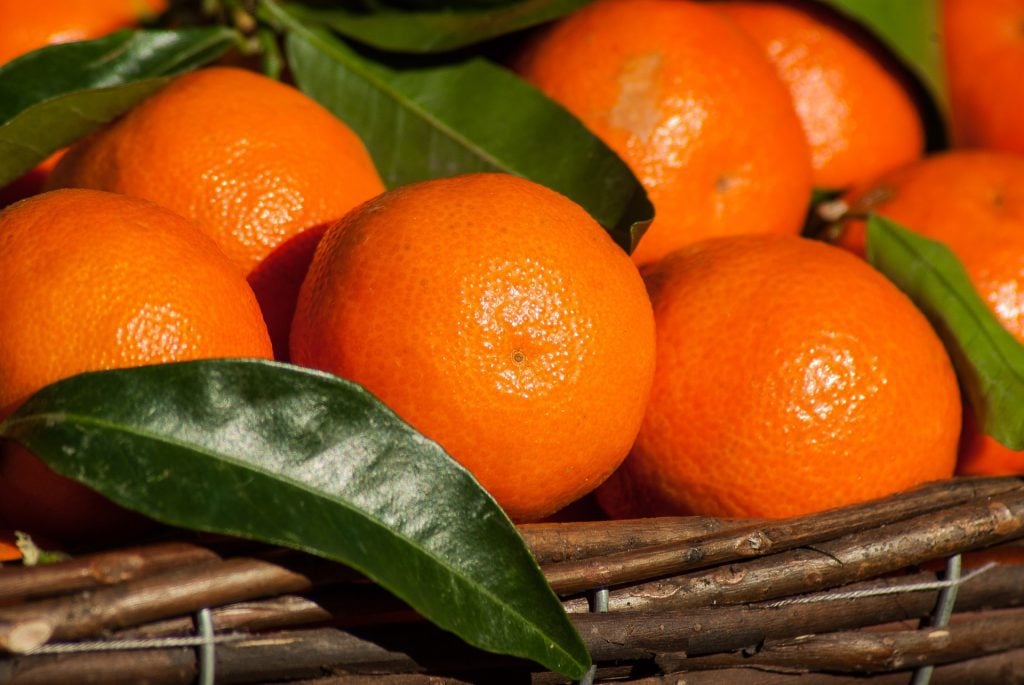 Find out more about citrus fruits