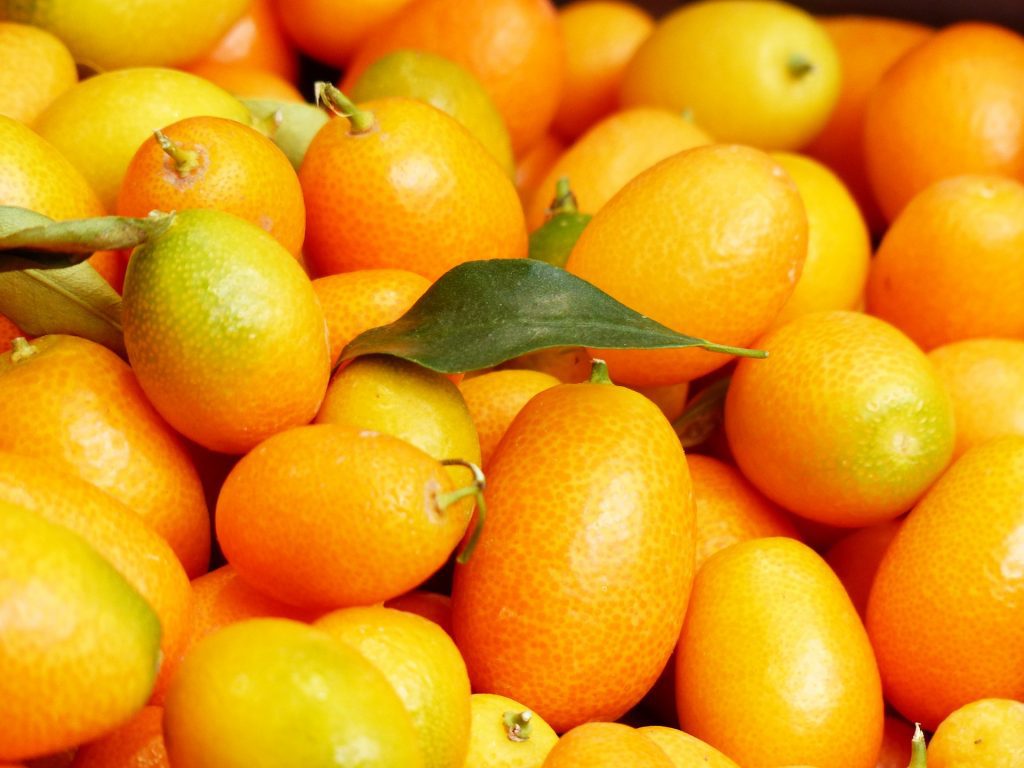 Find out more about citrus fruits