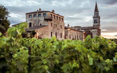Find out more about the Abruzzo-based Masciarelli winery