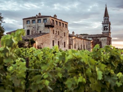 Find out more about the Abruzzo-based Masciarelli winery