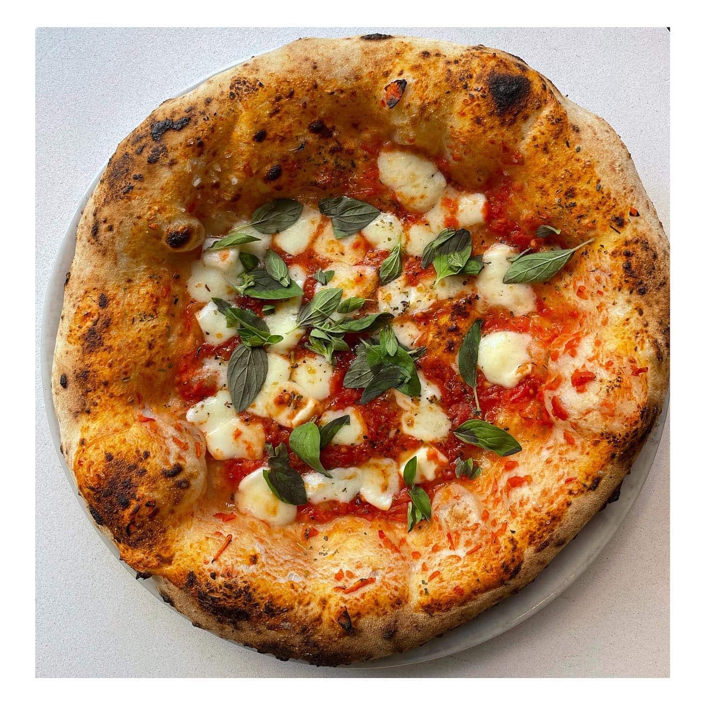 Una Pizza Napoletana California Top Rankings and Regional Leaders