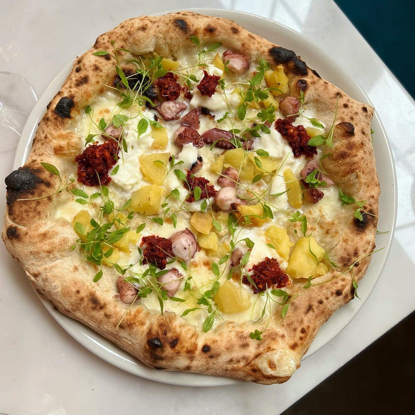 Forza Gambero Rosso International