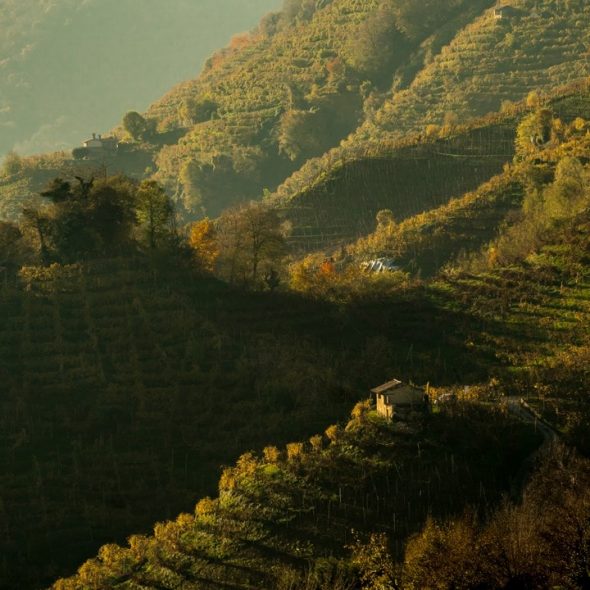 "We talk about Valdobbiadene around the world because Prosecco is not all the same"
