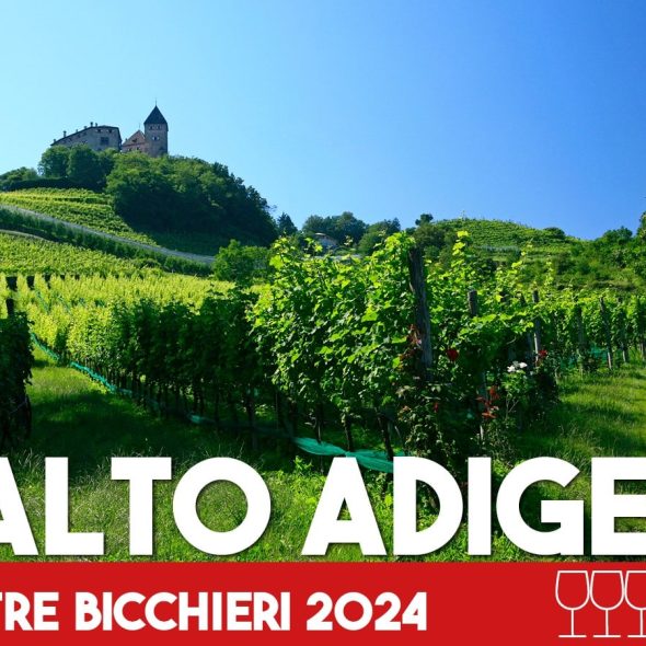 Tre Bicchieri 2024: the best wines from Alto Adige awarded by Gambero Rosso