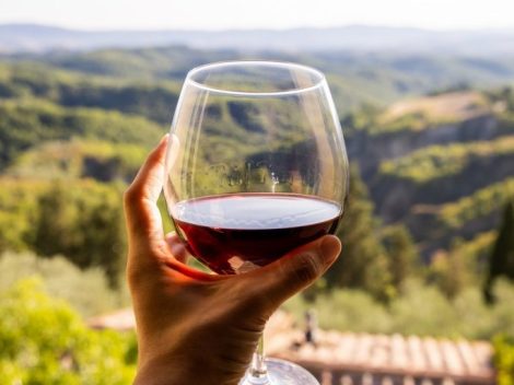 The 5 best Chianti Rufina wines under 20 euros chosen by Gambero Rosso