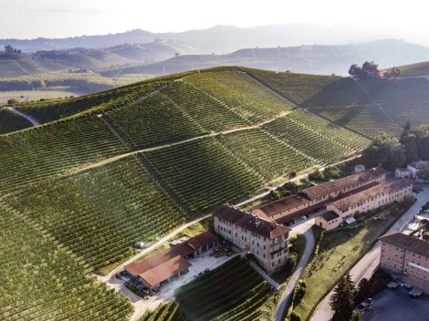 Northward movement of Barolo vineyards? Fontanafredda says no and responds by planting a forest of 150 plants