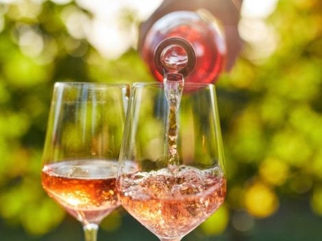 The best rosé wines of Puglia in 4 labels according to Gambero Rosso