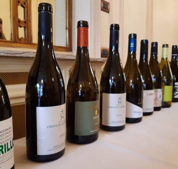 Grillo phenomenon: Sicily is now betting on white wines