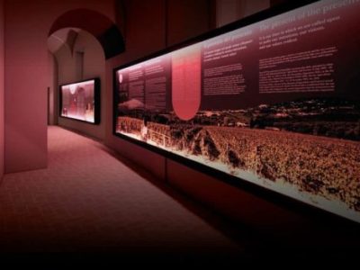 In the hidden caves of Montefalco, a museum dedicated entirely to Sagrantino is born