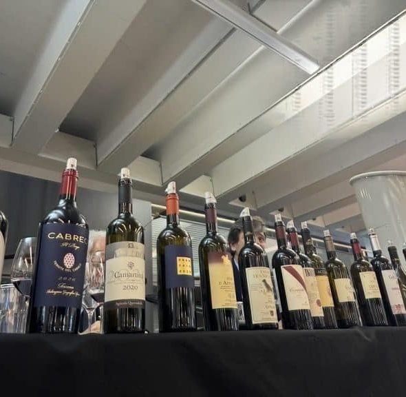 How Super Tuscans are changing. Here are 8 wines to try according to Gambero Rosso