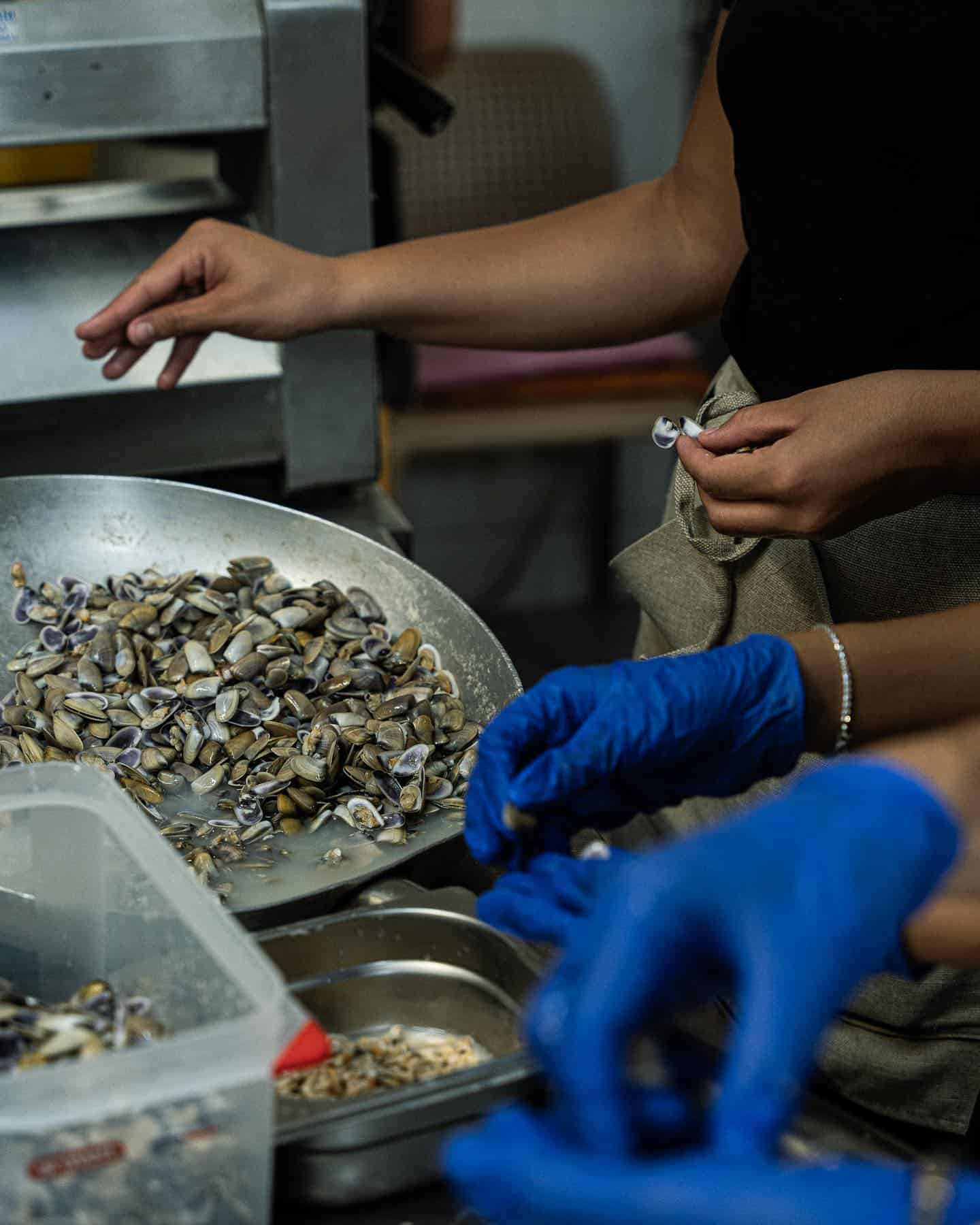 The legendary bruschetta with telline that won over Fellini (and where ...