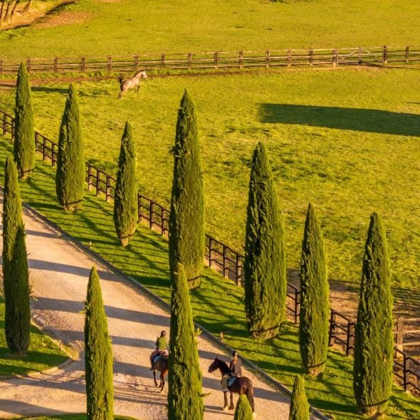 Holidays in the Vineyard: 10 must-experience wineries and vine rows
