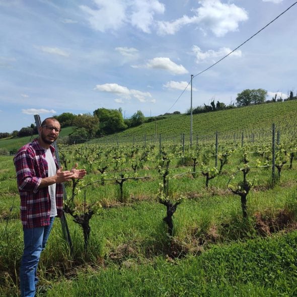 The story of the young professor who produces one of the finest Verdicchio dei Castelli di Jesi