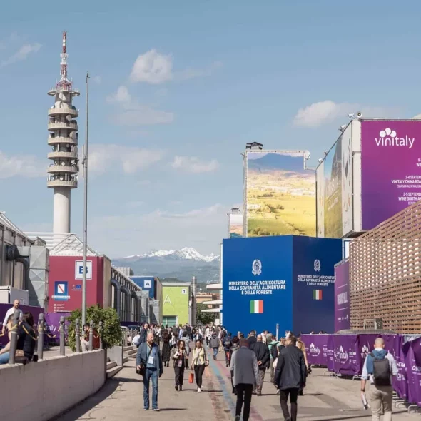 Veronafiere closes 2024 with its best-ever financial results and confirms Federico Bricolo as Chairman
