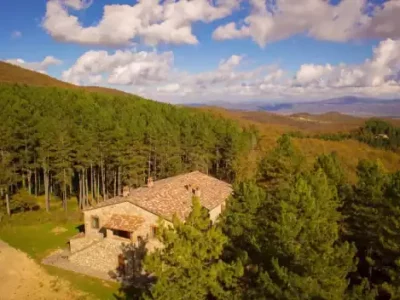 In the heart of the woods, a timeless osteria: the most authentic discovery between Umbria, Lazio and Tuscany