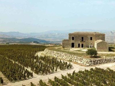 Duca Enrico, the story of a great red wine in the Land of Contrasts across 8 vintages