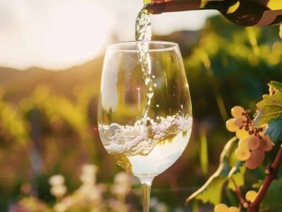 The 10 best value-for-money Pecorino wines from Abruzzo chosen by Gambero Rosso