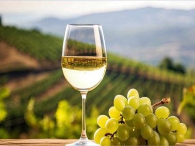 The 7 best value for money Vermentino di Gallura wines  chosen by Gambero Rosso