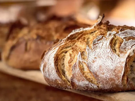 The new Pane e Panettieri d'Italia guide by Gambero Rosso: stories of those who bake outside the system