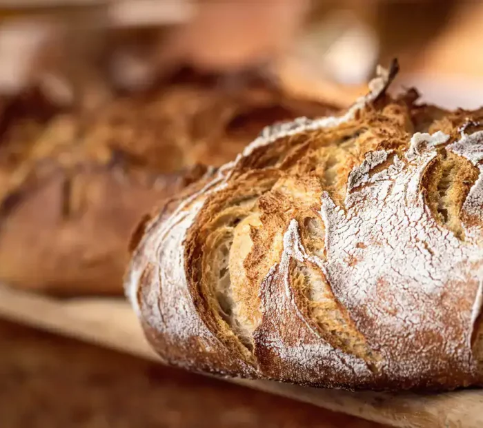 The new Pane e Panettieri d'Italia guide by Gambero Rosso: stories of those who bake outside the system