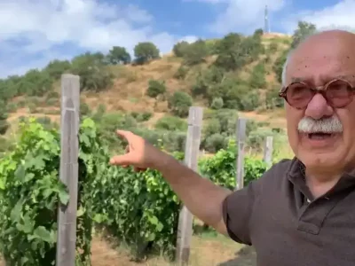 The two Calabrian brothers making wine like the ancient Grecanic peasants