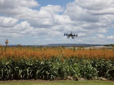 The future of viticulture? In drones, satellites and robots. Here is how to make the best use of them